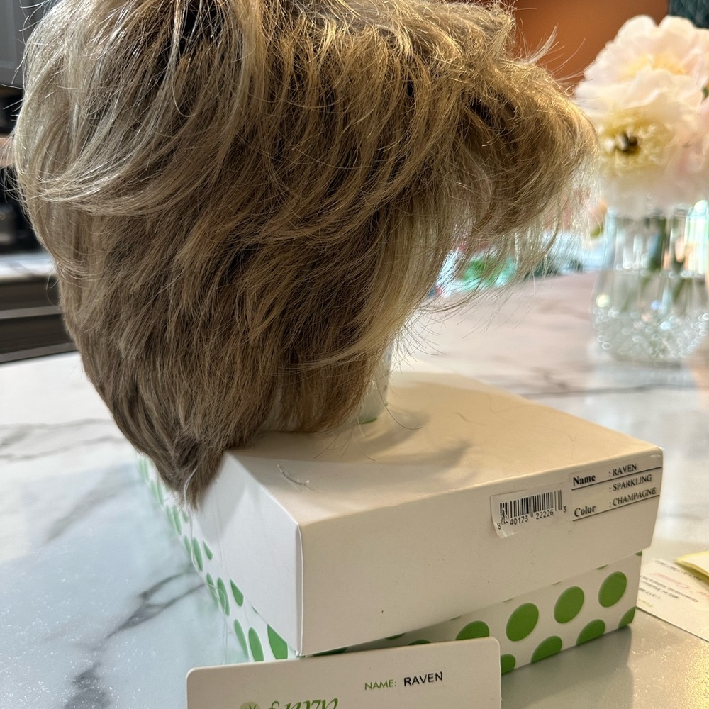Envy Raven Wig NWT